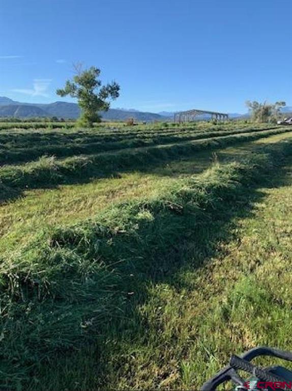 Lot: 1 Highway 550 Montrose CO 81403