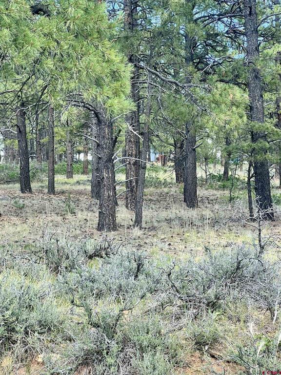 1627 West View Road Pagosa Springs CO 81147