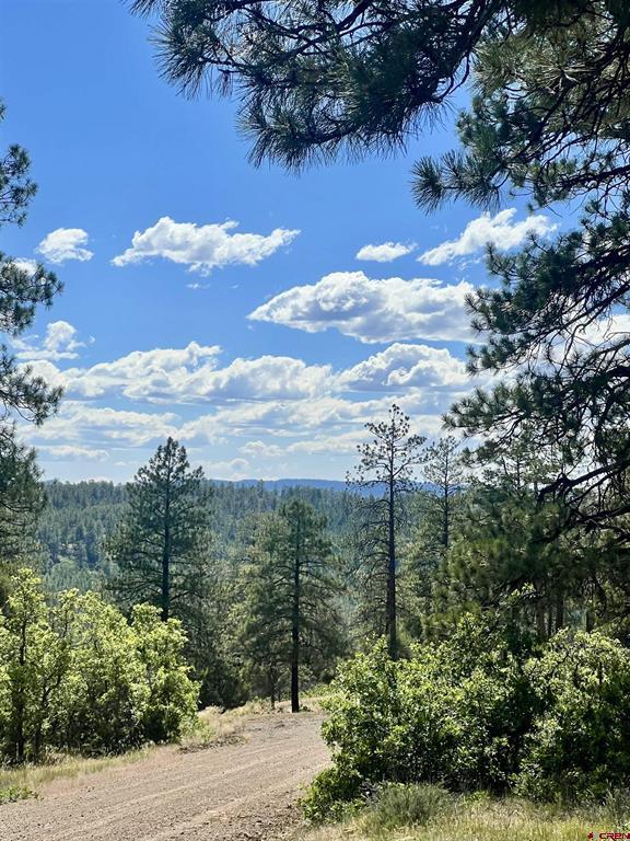 1627 West View Road Pagosa Springs CO 81147