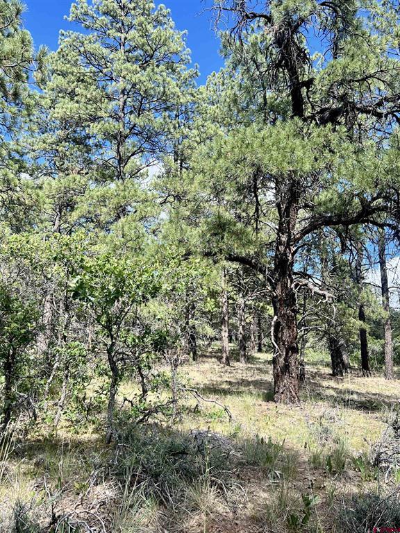 1627 West View Road Pagosa Springs CO 81147
