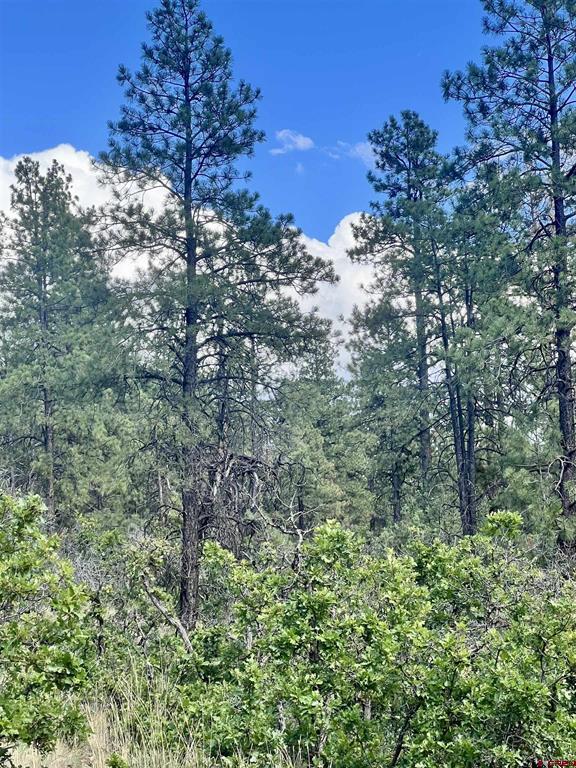 1627 West View Road Pagosa Springs CO 81147