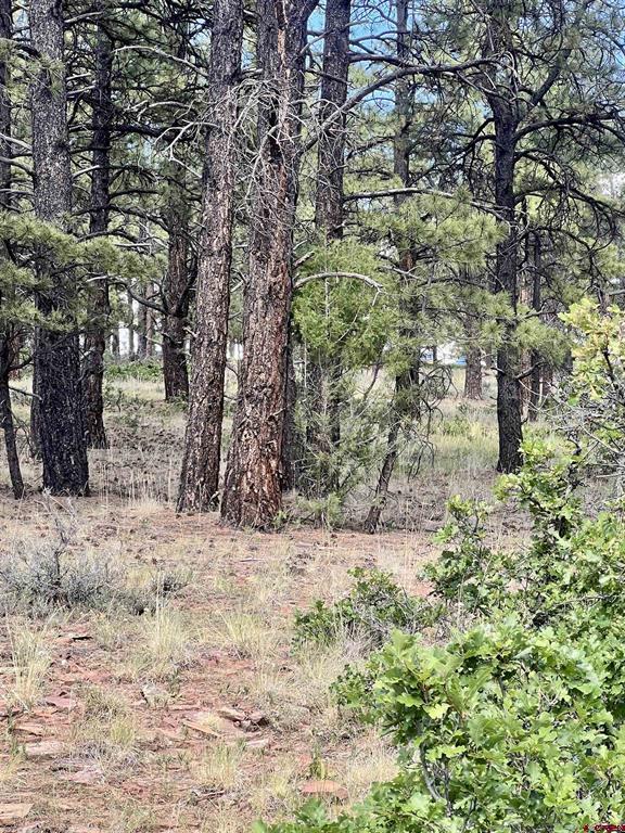 1627 West View Road Pagosa Springs CO 81147