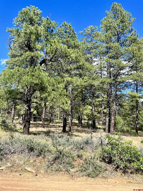 1627 West View Road Pagosa Springs CO 81147