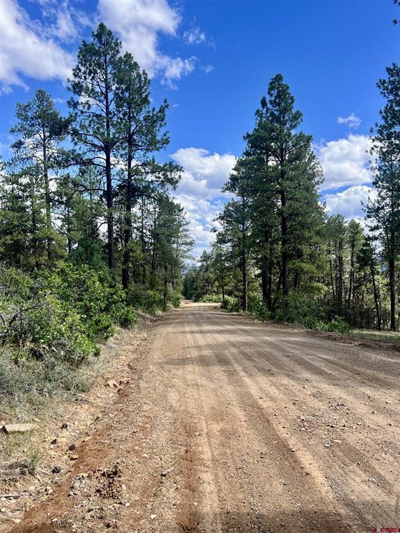 1627 West View Road Pagosa Springs CO 81147