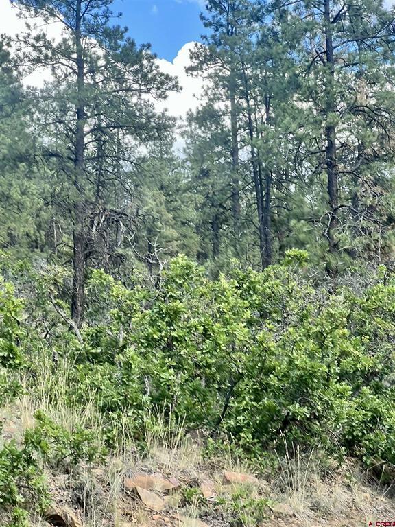 1627 West View Road Pagosa Springs CO 81147
