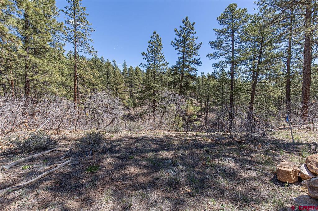 97 Canyon Pines Durango CO 81301
