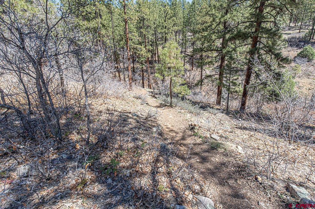97 Canyon Pines Durango CO 81301
