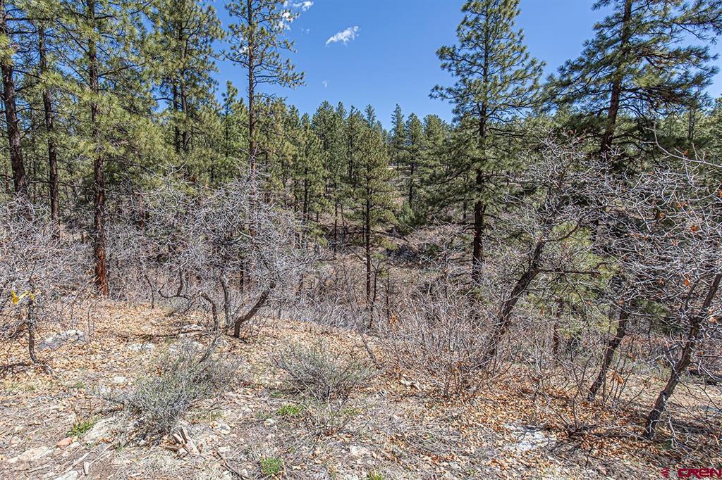 97 Canyon Pines Durango CO 81301