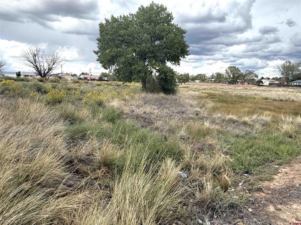 702 W 7th Street Cortez CO 81321