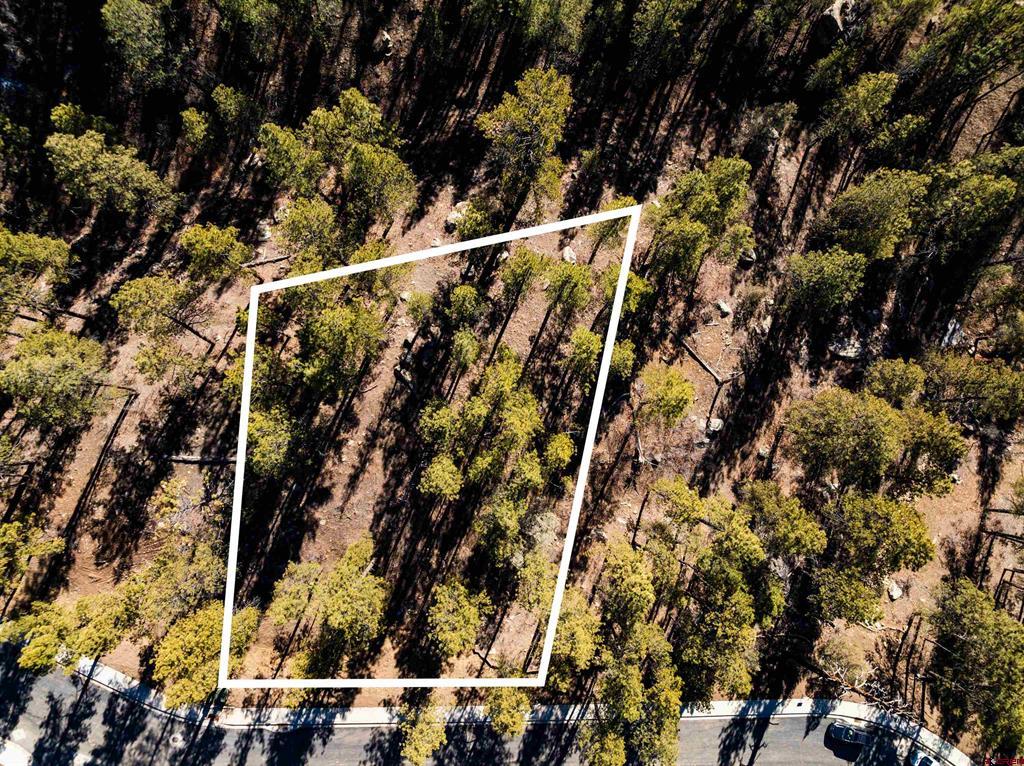 68 Avalanche Lily Drive (Lot 132) Durango CO 81301