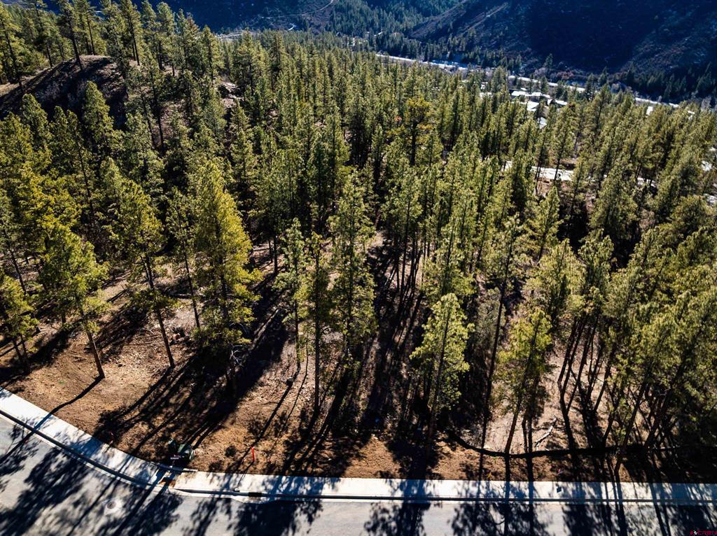 68 Avalanche Lily Drive (Lot 132) Durango CO 81301