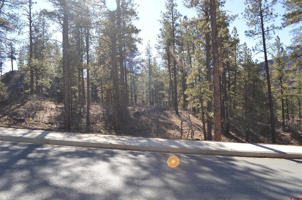 68 Avalanche Lily Drive (Lot 132) Durango CO 81301