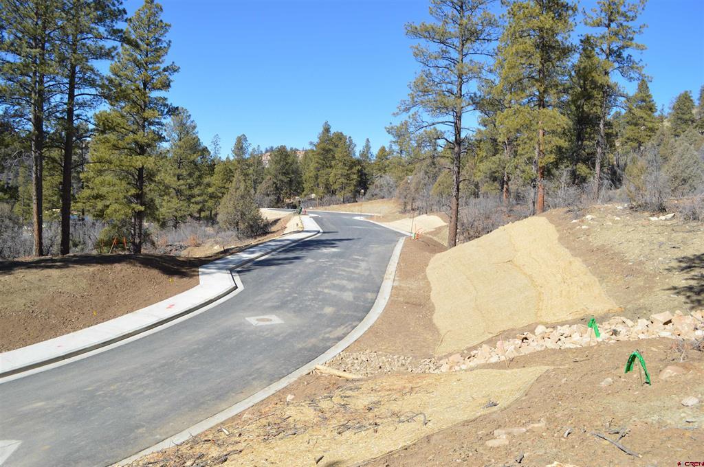 68 Avalanche Lily Drive (Lot 132) Durango CO 81301