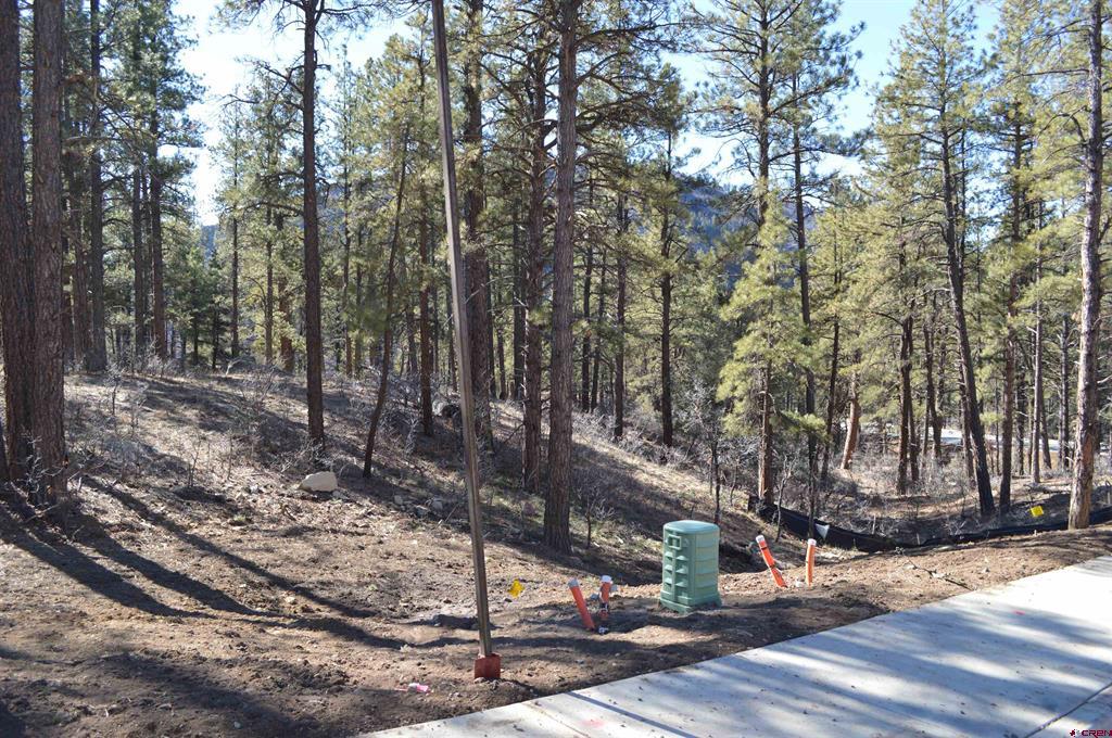 68 Avalanche Lily Drive (Lot 132) Durango CO 81301
