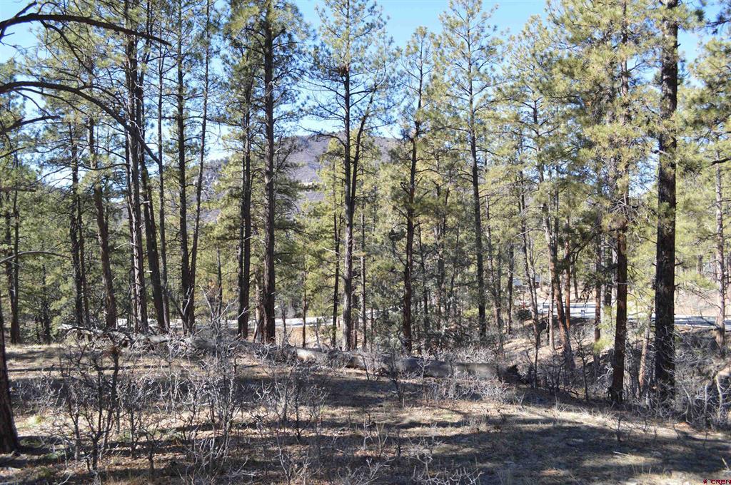68 Avalanche Lily Drive (Lot 132) Durango CO 81301