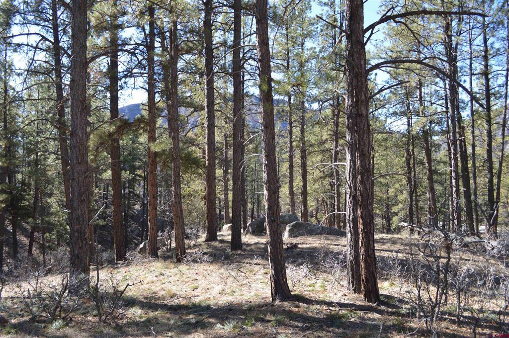 68 Avalanche Lily Drive (Lot 132) Durango CO 81301