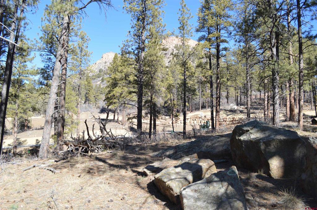 68 Avalanche Lily Drive (Lot 132) Durango CO 81301