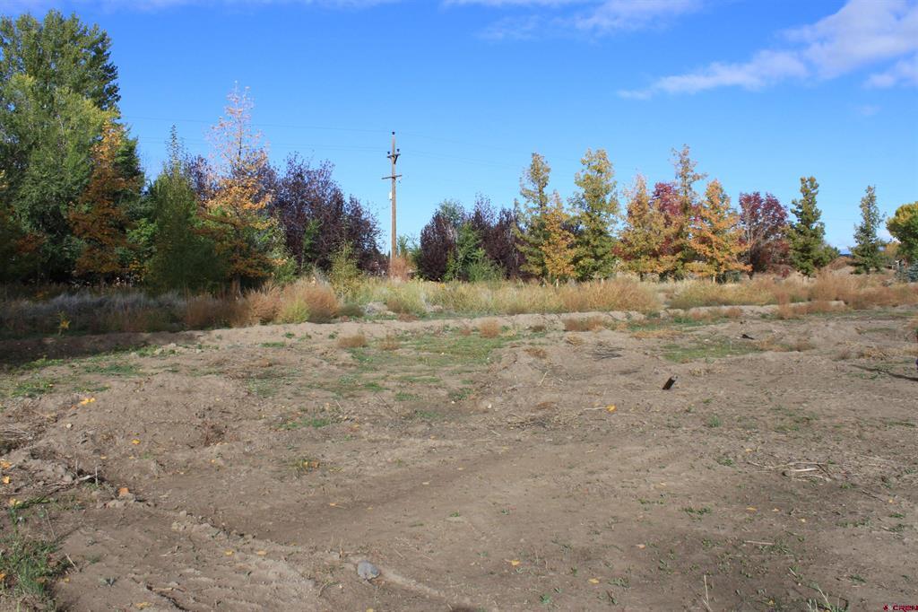 Tbd (Lot 1) 6360 Drive Montrose CO 81403