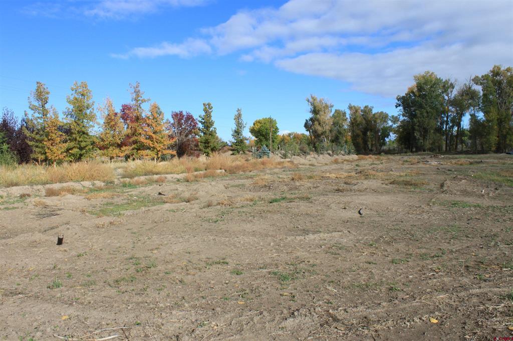Tbd (Lot 1) 6360 Drive Montrose CO 81403