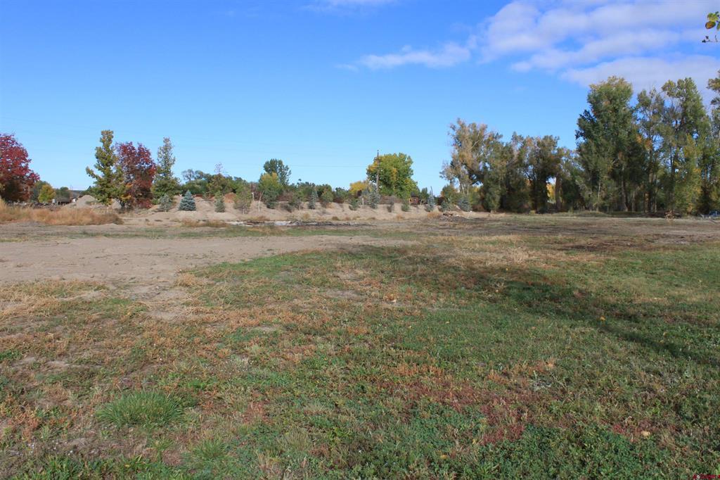 Tbd (Lot 1) 6360 Drive Montrose CO 81403