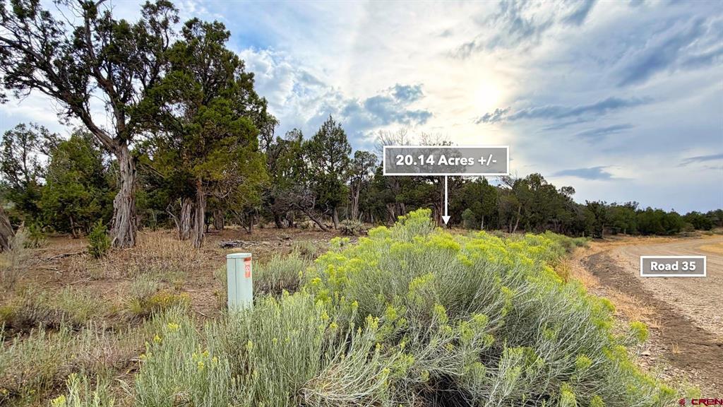 0 Road 35 Road Mancos CO 81328