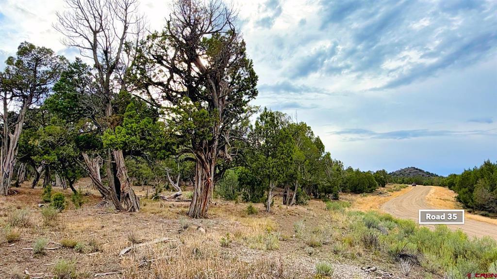 0 Road 35 Road Mancos CO 81328