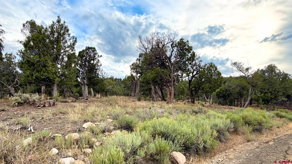 0 Road 35 Road Mancos CO 81328