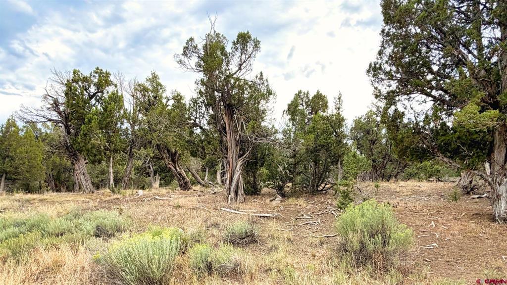 0 Road 35 Road Mancos CO 81328