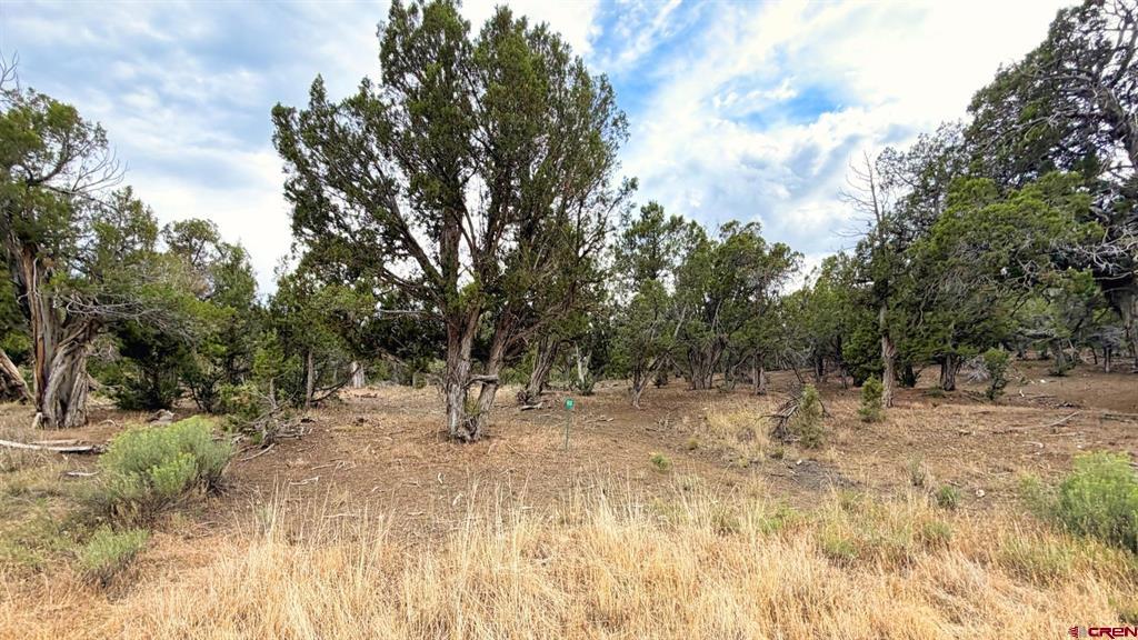 0 Road 35 Road Mancos CO 81328