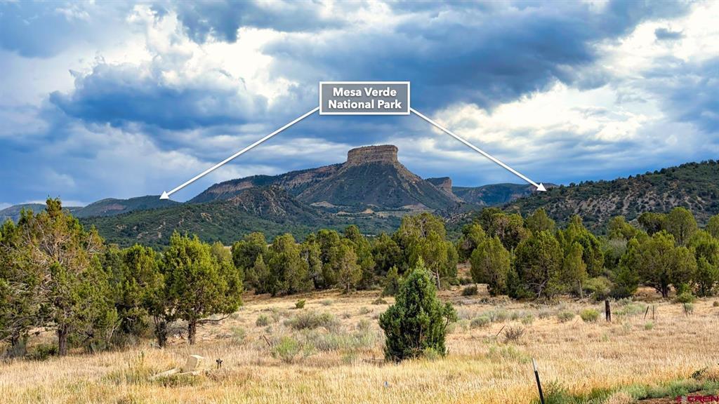 0 Road 35 Road Mancos CO 81328