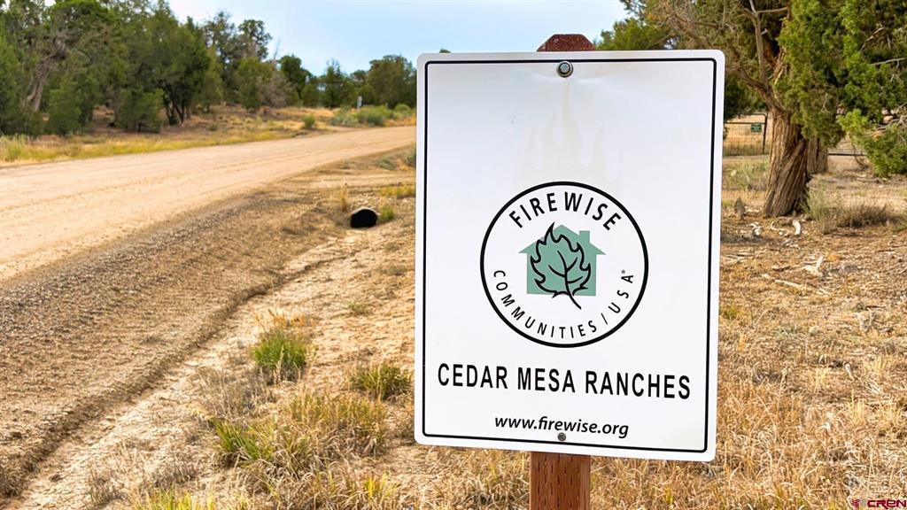 0 Road 35 Road Mancos CO 81328