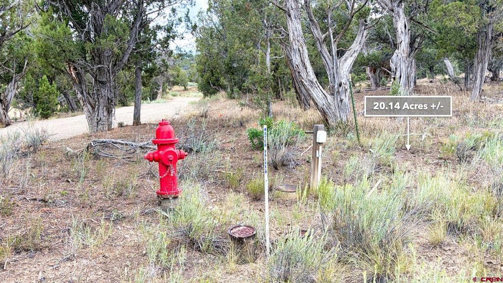 0 Road 35 Road Mancos CO 81328