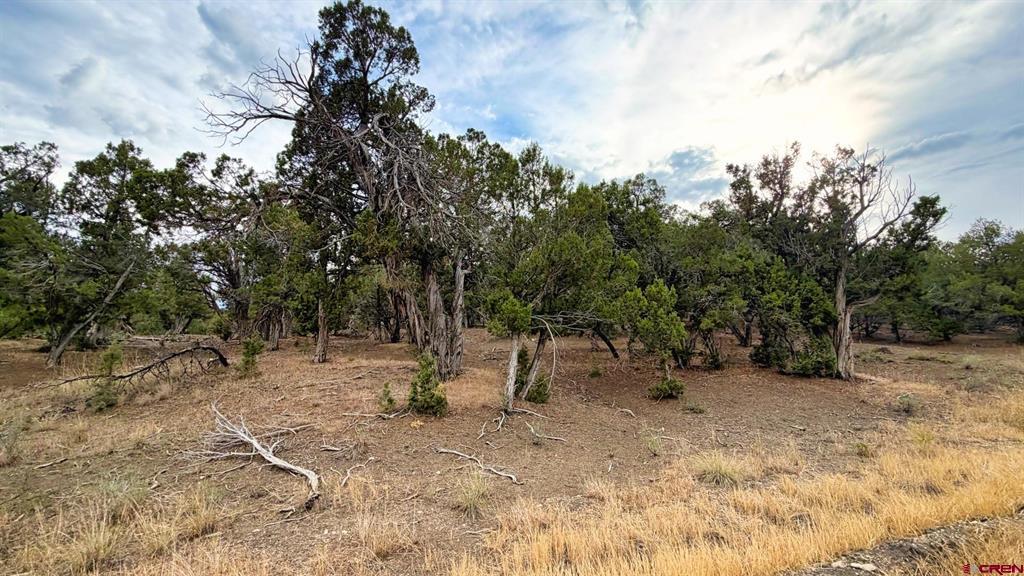 0 Road 35 Road Mancos CO 81328