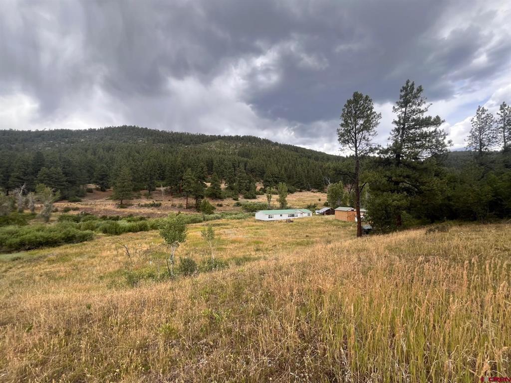 3230 Bear Creek Road Bayfield CO 81122