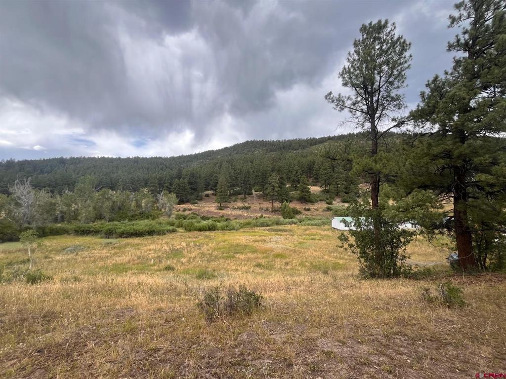 3230 Bear Creek Road Bayfield CO 81122