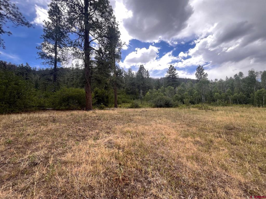 3230 Bear Creek Road Bayfield CO 81122