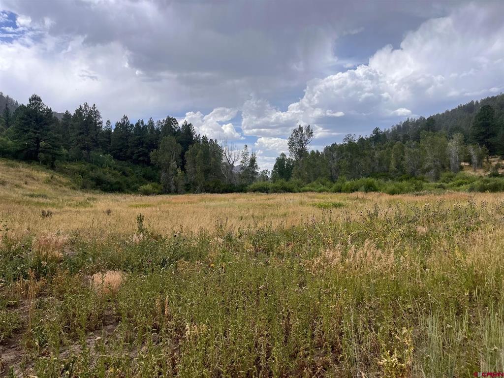 3230 Bear Creek Road Bayfield CO 81122
