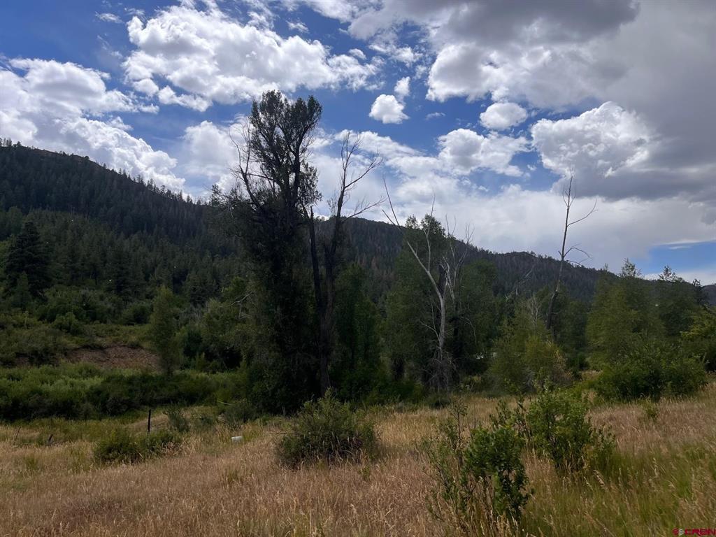 3230 Bear Creek Road Bayfield CO 81122
