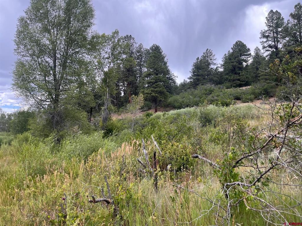 3230 Bear Creek Road Bayfield CO 81122