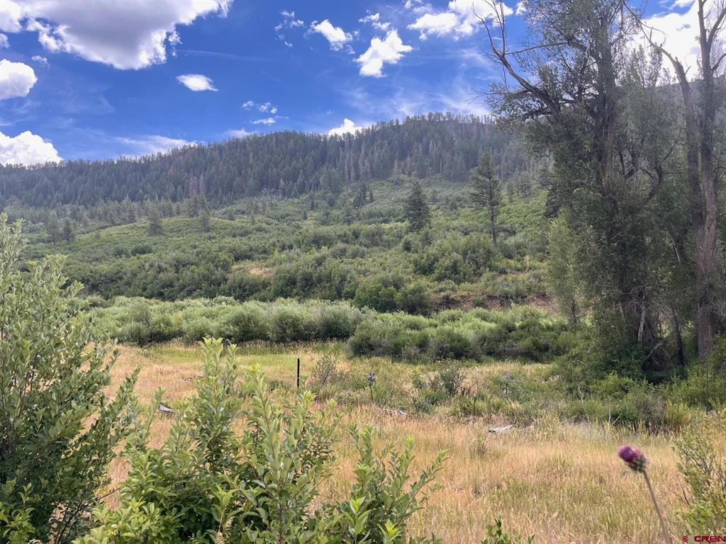 3230 Bear Creek Road Bayfield CO 81122