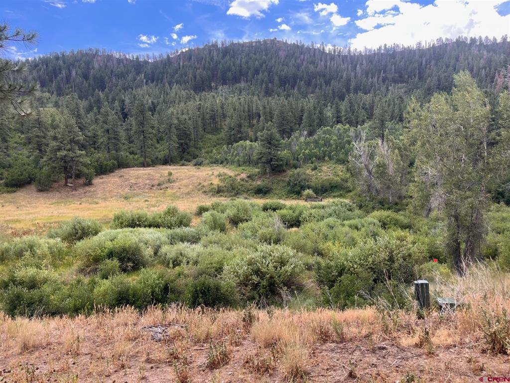 3230 Bear Creek Road Bayfield CO 81122