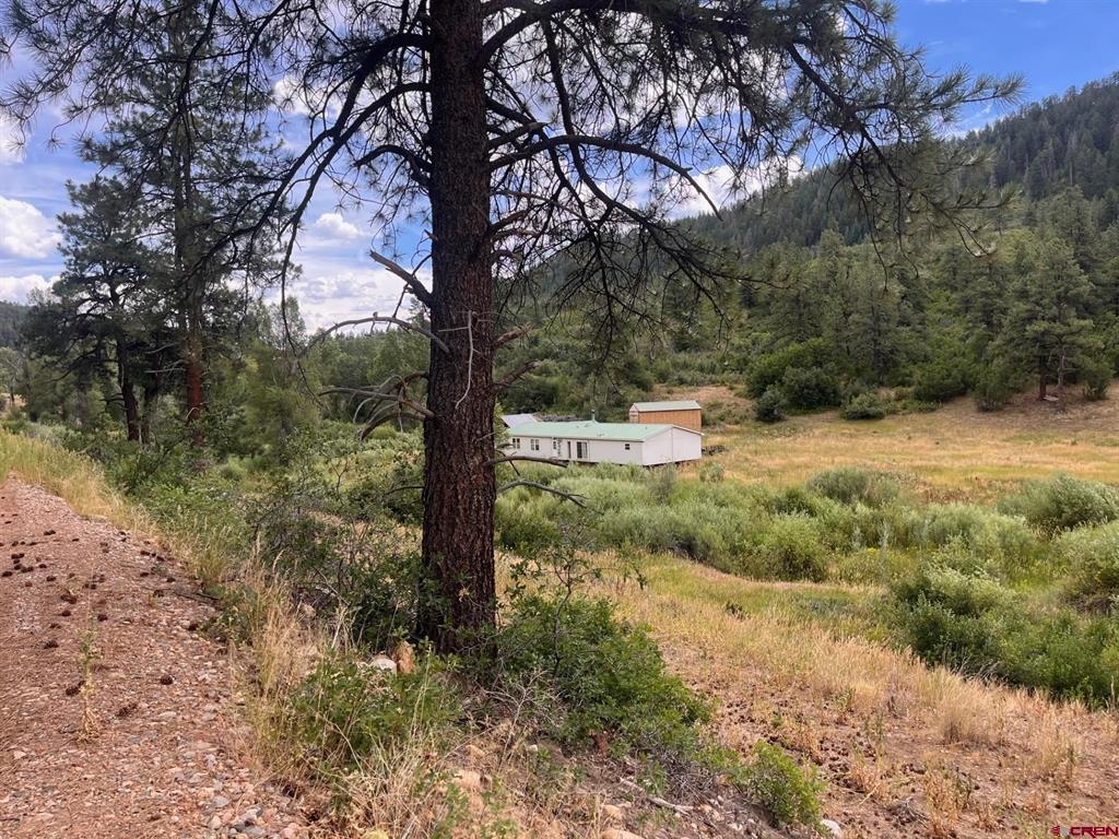 3230 Bear Creek Road Bayfield CO 81122