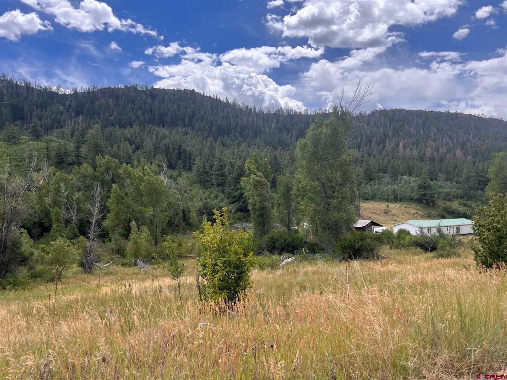 3230 Bear Creek Road Bayfield CO 81122
