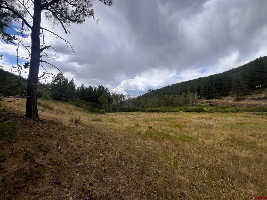 3230 Bear Creek Road Bayfield CO 81122