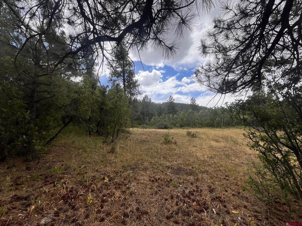 3230 Bear Creek Road Bayfield CO 81122