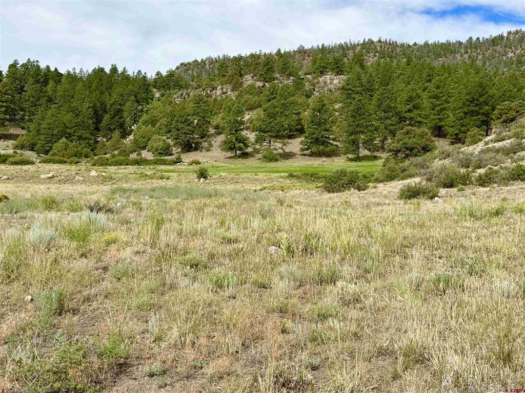 580 Rio Grande Club Trail South Fork CO 81154