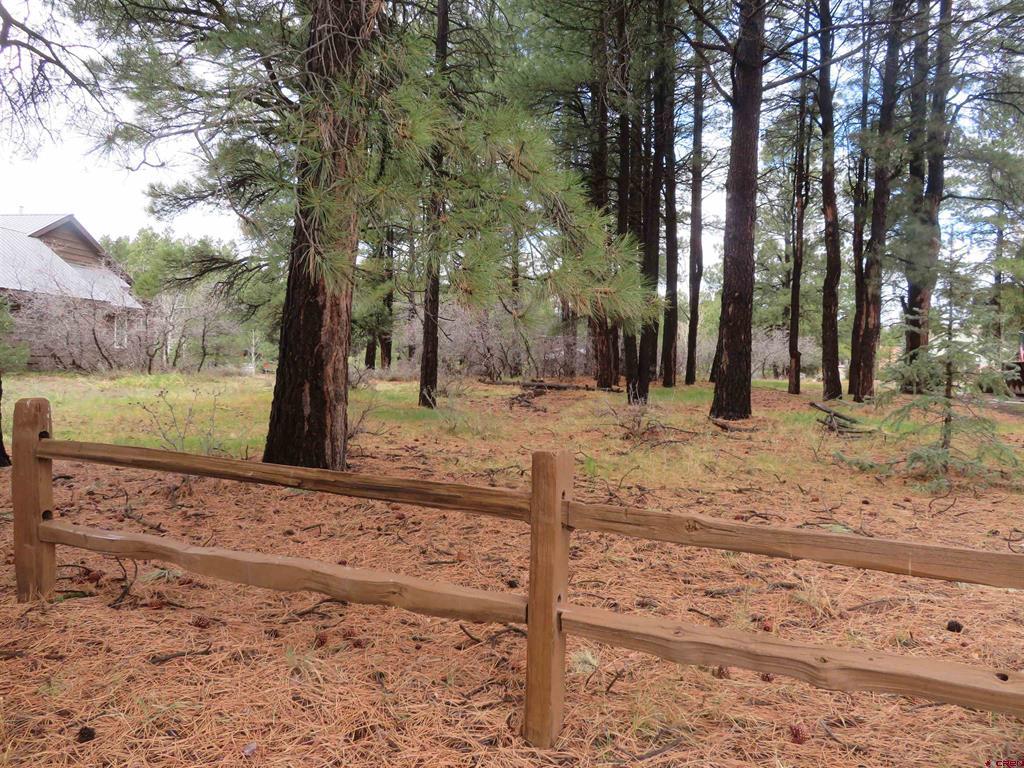 275 Beaver Circle Pagosa Springs CO 81147