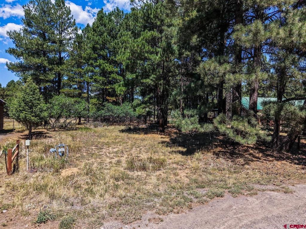 275 Beaver Circle Pagosa Springs CO 81147
