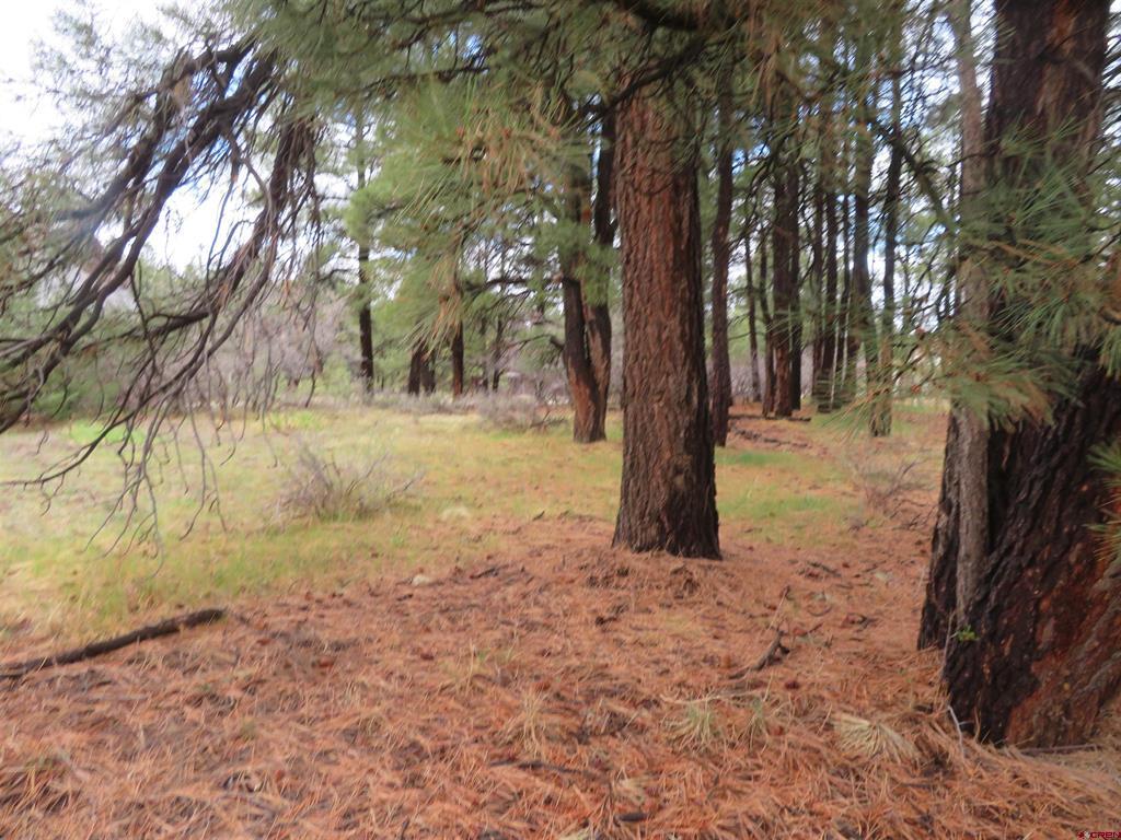 275 Beaver Circle Pagosa Springs CO 81147