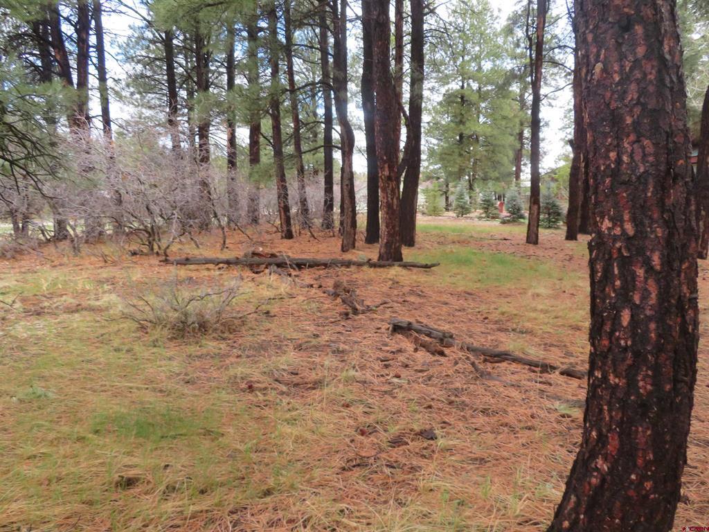 275 Beaver Circle Pagosa Springs CO 81147